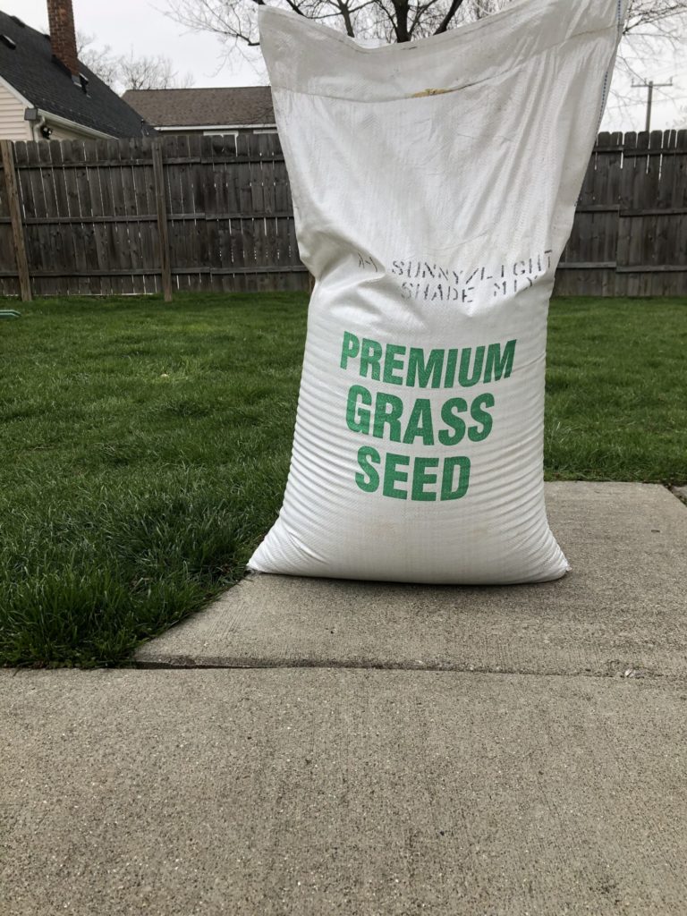 PremiumGrassSeedBlends(1)
