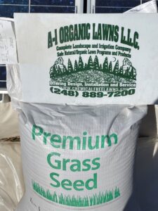 premium grass seed